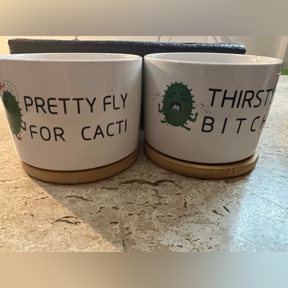 Super Cute and Funny Succulent Planters - Picture 2 of 5